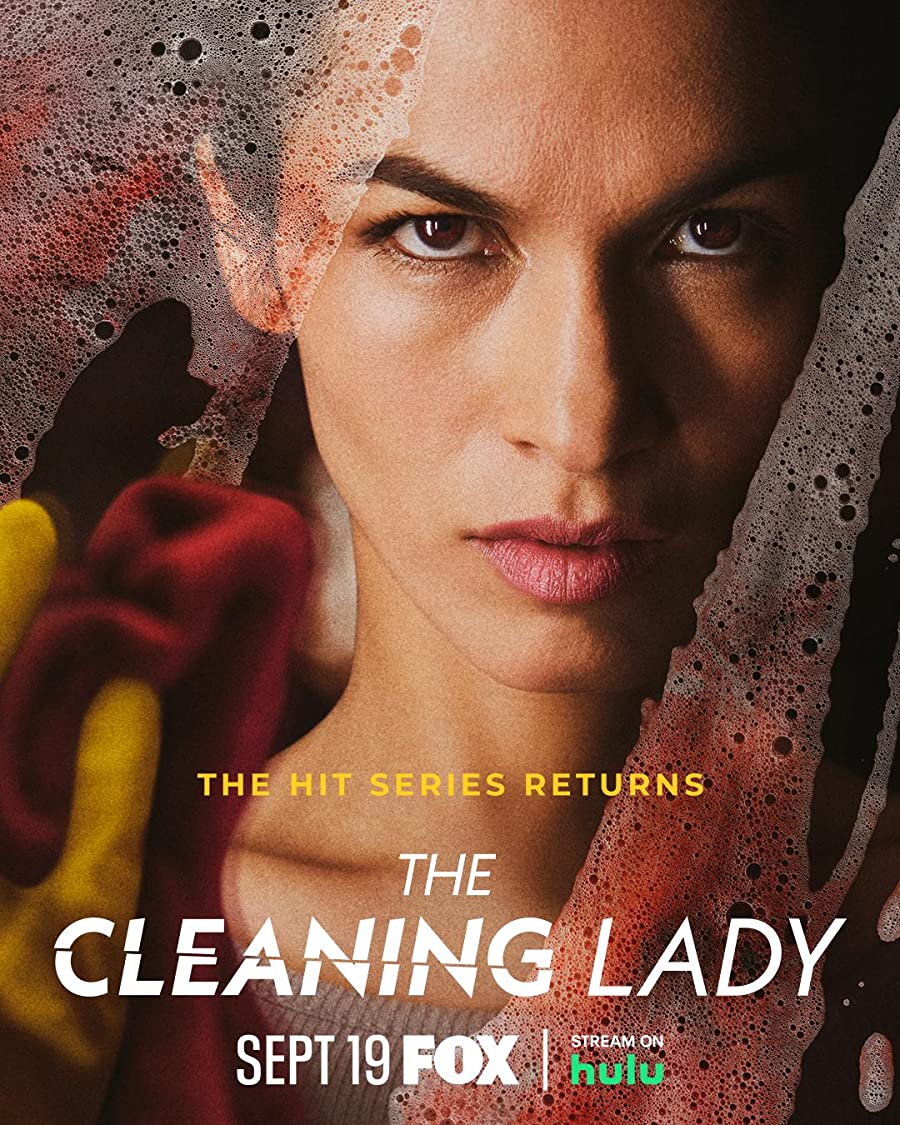 دانلود سریال The Cleaning Lady
