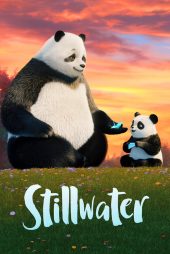 دانلود سریال Stillwater
